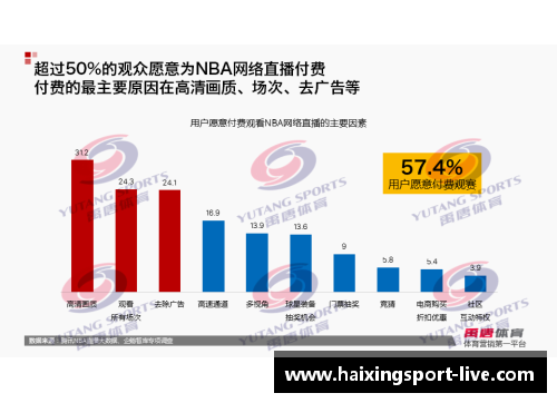 NBA中国市场营销策略分析与广告效果评估