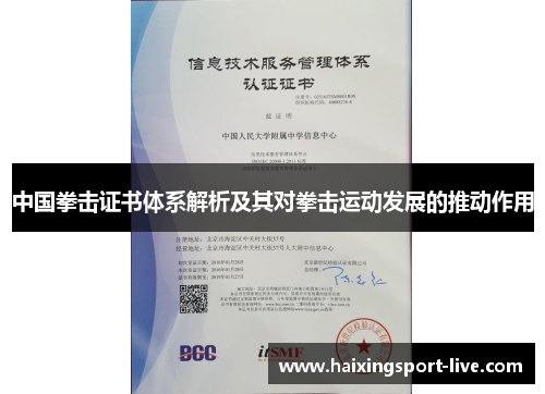 中国拳击证书体系解析及其对拳击运动发展的推动作用