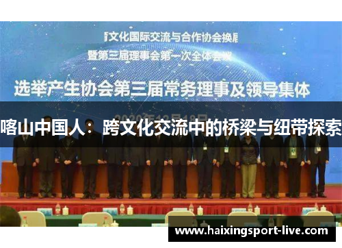 喀山中国人：跨文化交流中的桥梁与纽带探索